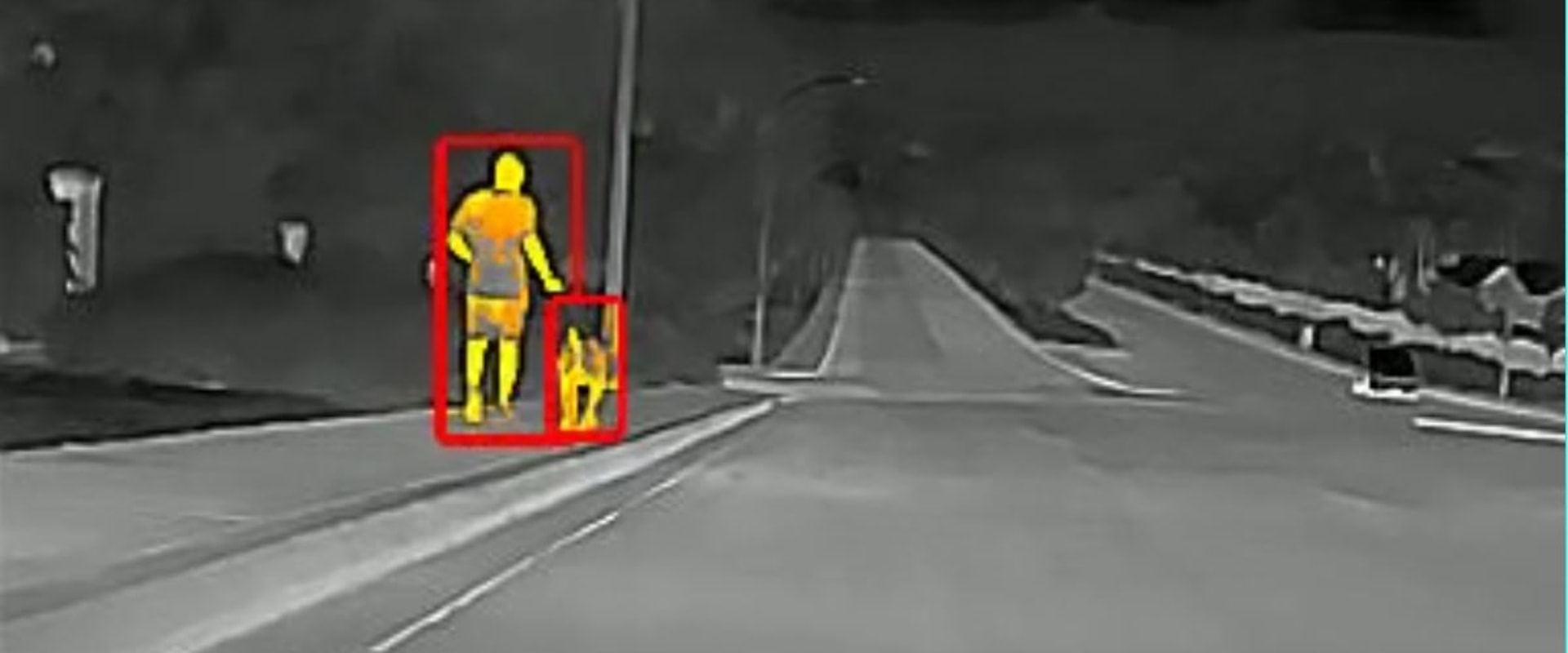Everything You Need to Know About Night Vision Cameras