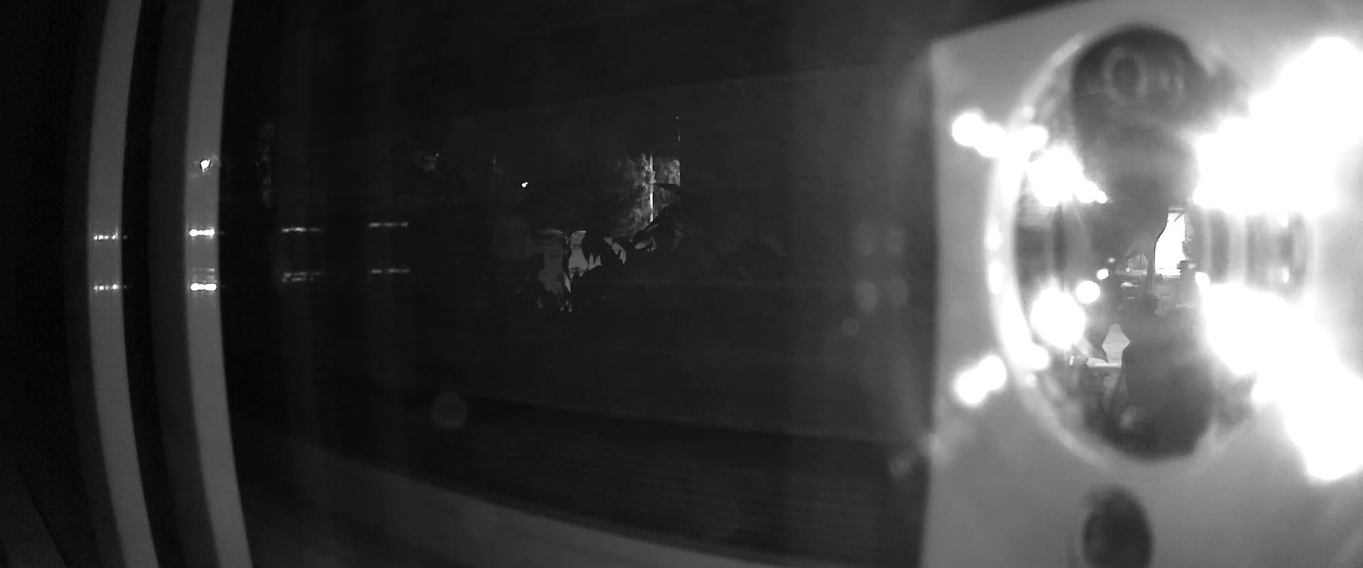 Low Light and Night Vision: Maximizing Your Security Camera's Capabilities